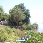 Zona ribereña de El Triángulo_1 Zona ribereña de El Triángulo_1