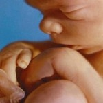 Niño por nacer Niño por nacer